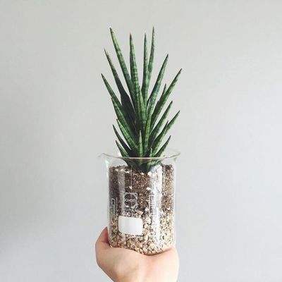 极速飞艇计划app下载